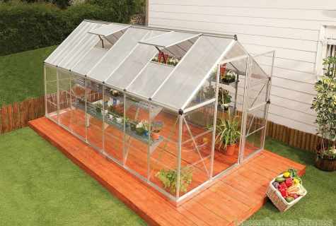What color of cellular polycarbonate it is better to choose for the country greenhouse